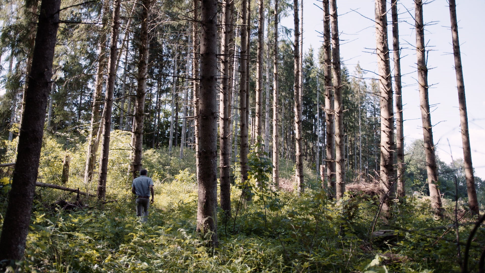 GOOD ENOUGH PARENTS - DVD